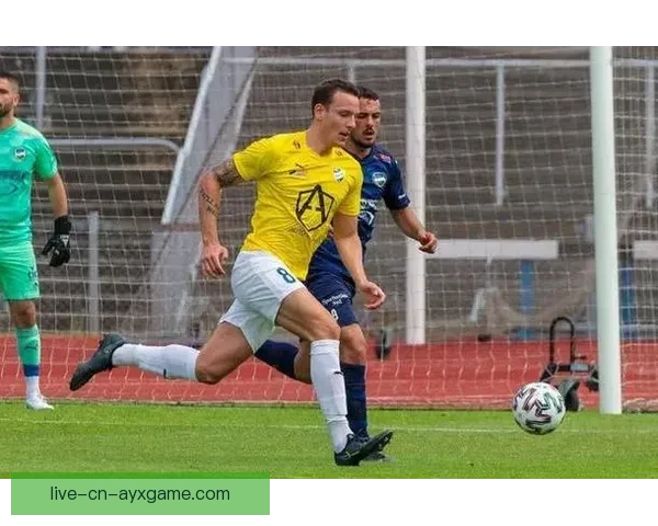 芬超足球直播全解析实时赛况数据解读与精彩看点球队走势战术观察球迷互动